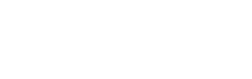 進化する足場 アルバトロス
